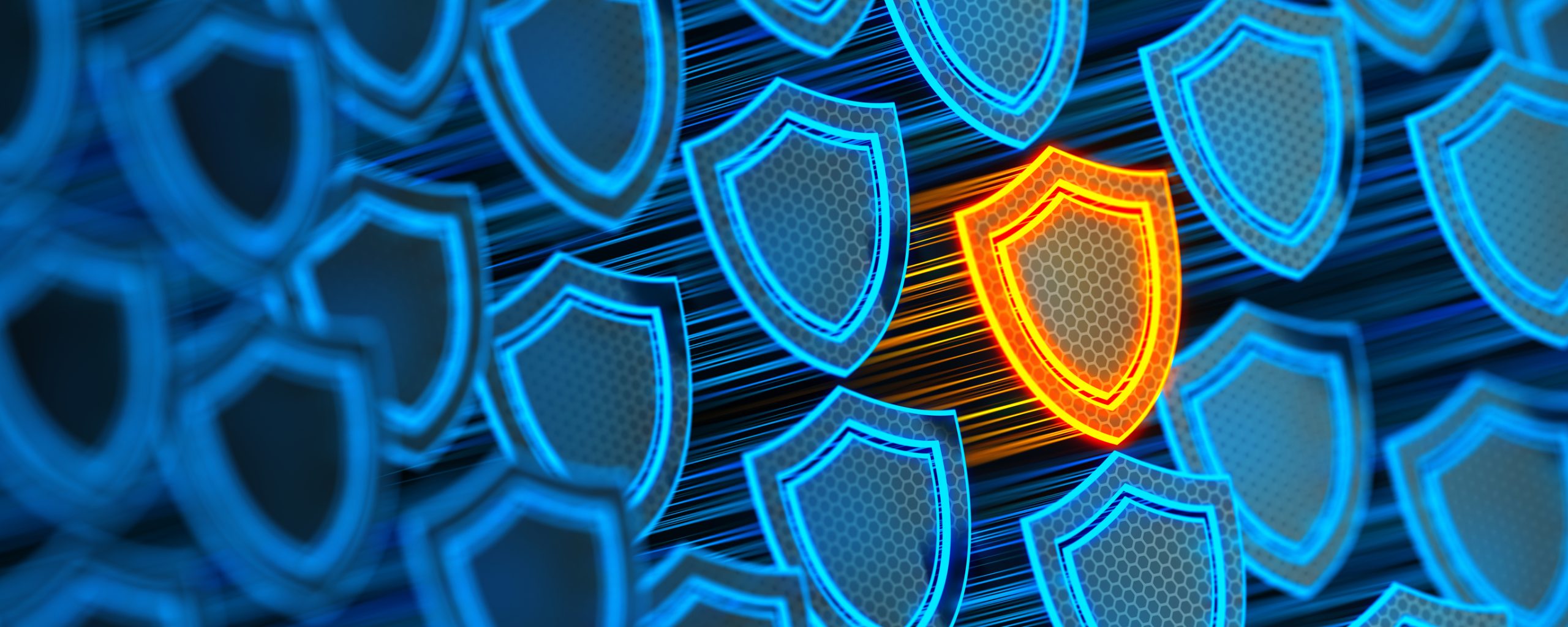 a series of shield showing network security