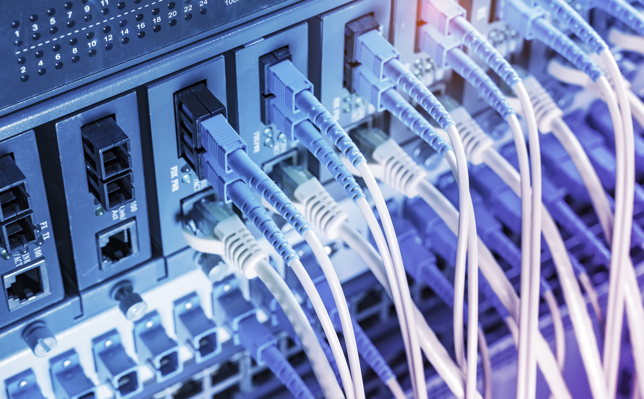 a series of fibre cables plugged into a computer network device showing network speed and reliability